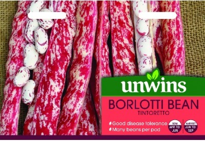 Unwins Barlotti Bean Tintoretto Seeds